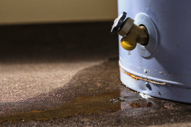 Best Residential water damage restoration  in Yalaha, FL