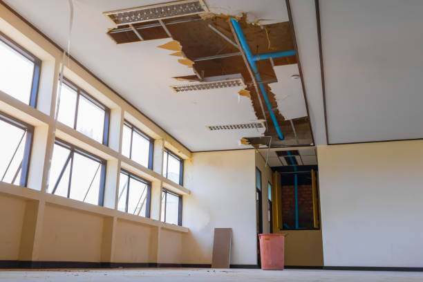 Best Ceiling water damage repair  in Yalaha, FL