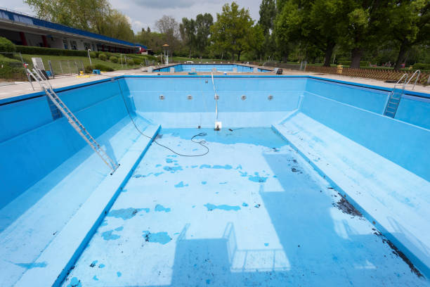 Best Water damage contractors near me  in Yalaha, FL