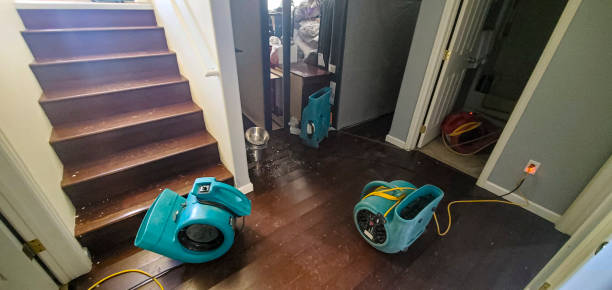Best Flooded house restoration  in Yalaha, FL