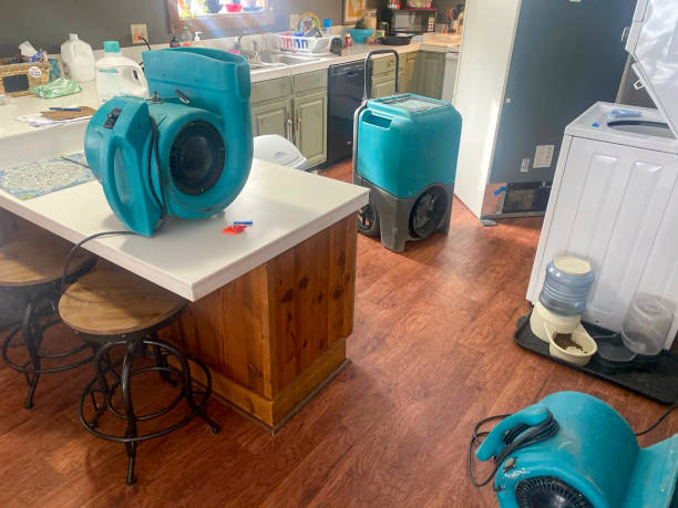  Yalaha, FL Water damage restoration Pros