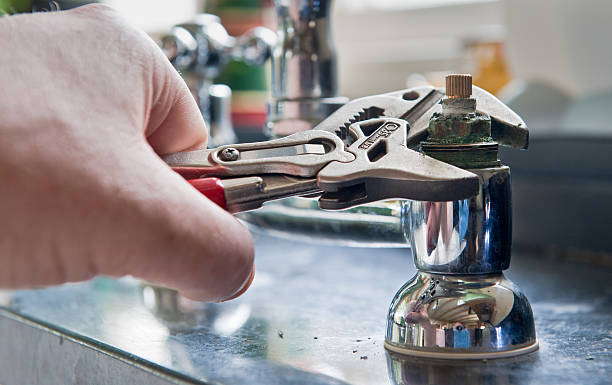 Best Water damage restoration experts  in Yalaha, FL