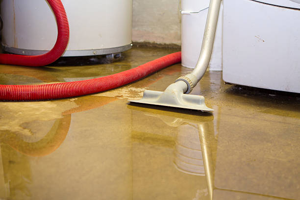 Best Flooded house restoration  in Yalaha, FL