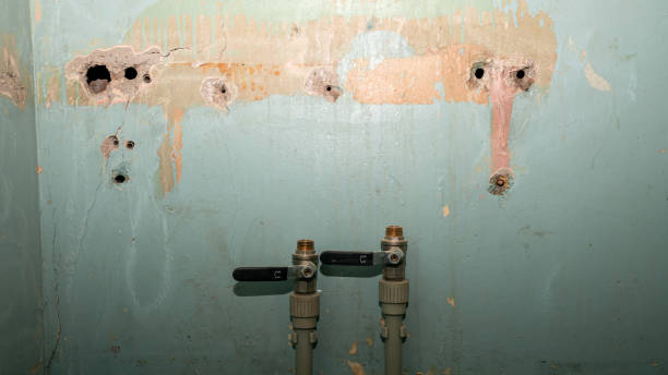 Best Sewage cleanup and water damage restoration  in Yalaha, FL