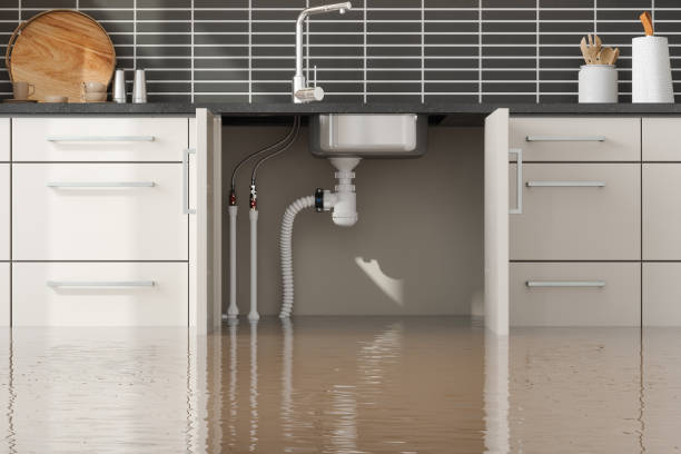 Best Emergency water damage restoration  in Yalaha, FL