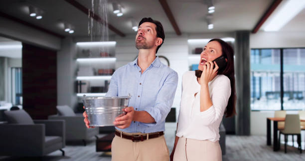 Best Basement water damage restoration  in Yalaha, FL