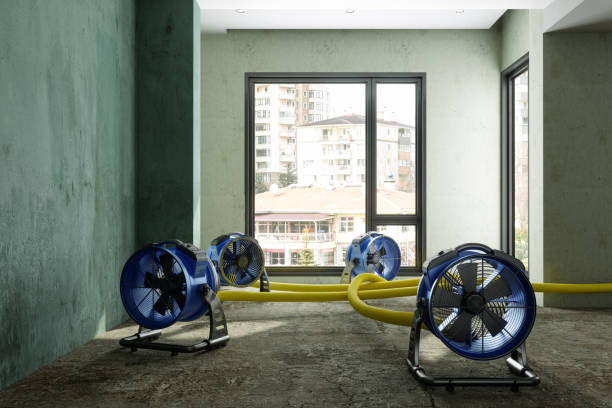 Best Sewage cleanup and water damage restoration  in Yalaha, FL